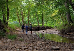 A natural outdoor setting with a dirt path leading to a small body of water, surrounded by trees. - Camping in the Hocking Hills at Altenbrauch Farm (McArthur)