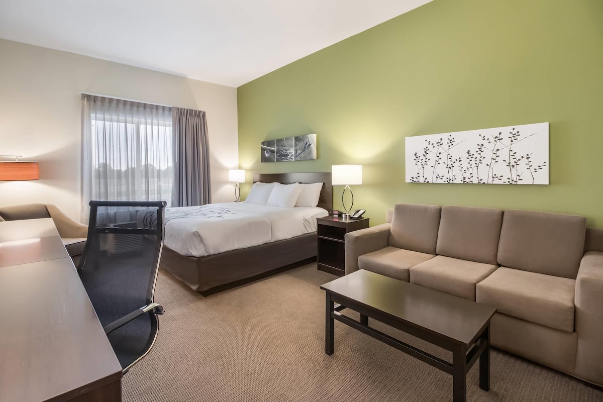 A hotel room with a bed, a sofa, a desk, and a chair.