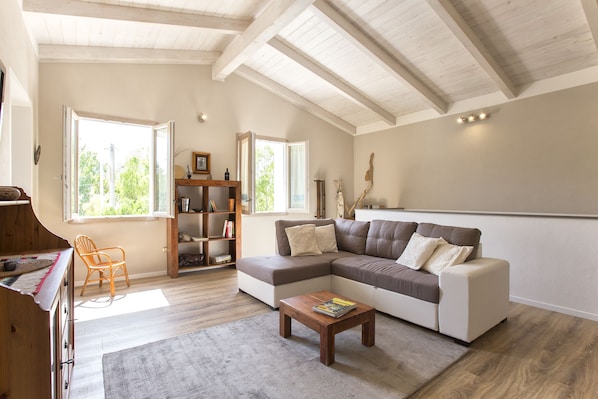 Smart TV, chimenea y libros 
