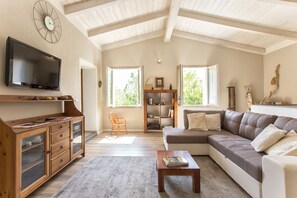 Smart-TV, peis og bøker