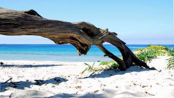On the beach, sun loungers