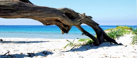 On the beach, sun-loungers