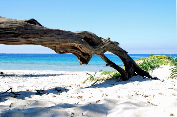 Sulla spiaggia, lettini da mare