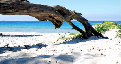 Freistehende Villa 3km vom Strand entfernt mit 4 Schlafzimmern 3 BĂ€dern 2 KĂŒchen