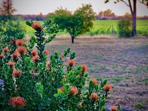 Surrounded by a serene natural landscape, this peaceful scene features a vibrant bush and a solitary tree.