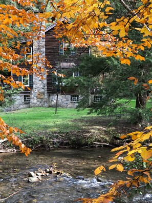 Property grounds - Escape to this cozy cabin in the woods! (Mill Run)