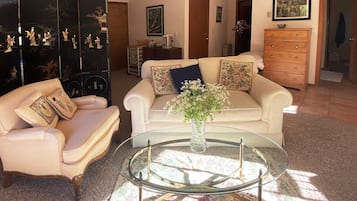 Smart TV, DVD player, books, video library