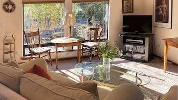 Smart TV, DVD player, books, video library