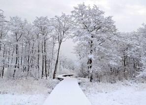 Luokittelematon kuva, 4 kautta 23, painike