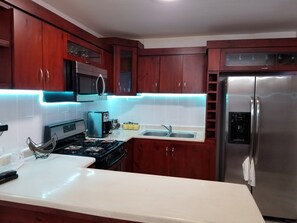 Private kitchen - Four J's Residence Cozy Apartment in Santiago 10 minutes from Airport with SPA (Santiago de Los Caballeros)