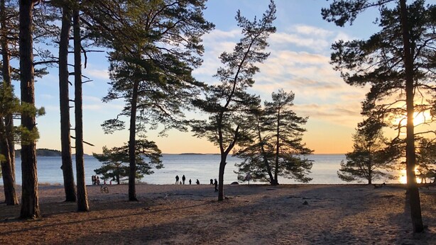 Ein Strand mit hohen Bäumen und einem Sonnenuntergang im Hintergrund.