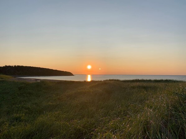 Vlak bij het strand