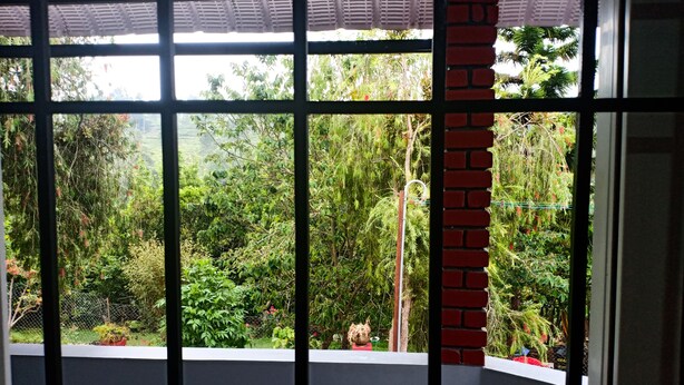 A view through a window with a metal grid, featuring a balcony with a white railing and a brick wall. - Pear Tree Inn (Kotagiri)