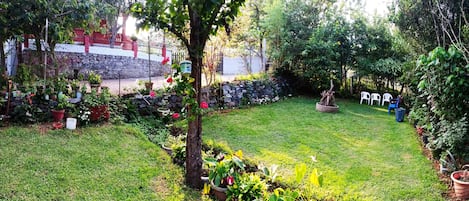 Puutarha