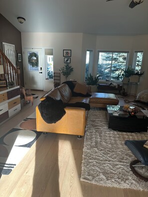 Smart TV, caminetto, libri, stampante