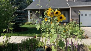 A residential house with a front yard, a driveway, and a garage. - Luxury open concept Vacation Home. Close to downtown ,Old Mill trails & parks. (Bend)