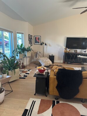 Smart TV, caminetto, libri, stampante