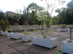 Jardines del alojamiento