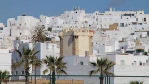 Una zona urbana densamente poblada con edificios blancos, algunos con techos planos y otros con techos inclinados, y unas pocas palmeras en primer plano.