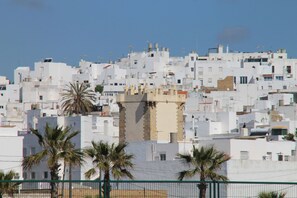 A densely packed urban area with white buildings, some with flat roofs and others with sloped roofs, and a few palm trees in the foreground. - Apartment with air-con in lounge (CONIL DE LA FRONTERA)
