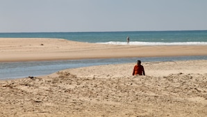 Una playa con una persona vestida de rojo parada sobre la arena, un mar tranquilo y un cielo despejado.