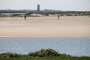A beach with a tower in the distance, a person walking, and a small bush in the foreground.