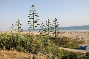 A beach with tall grass and a clear view of the ocean.