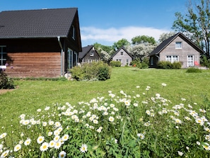 A residential area with wooden houses and a grassy field with daisies. - House 10 - SCHMIDT`S cottages in the countryside (Lüdershagen)