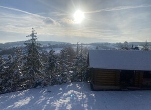 A cabin with a snow-covered roof, surrounded by snow-laden trees and a clear sky. - Double room (apartment 2) - log cabin (Sangerhausen)
