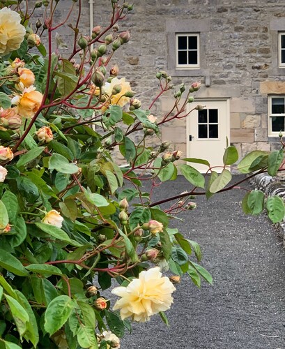 Rural House Retreat