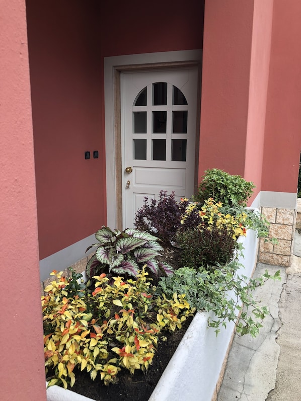 A white door with a grid pattern, surrounded by a variety of plants and a stone wall.