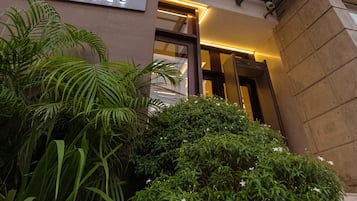 Vườn