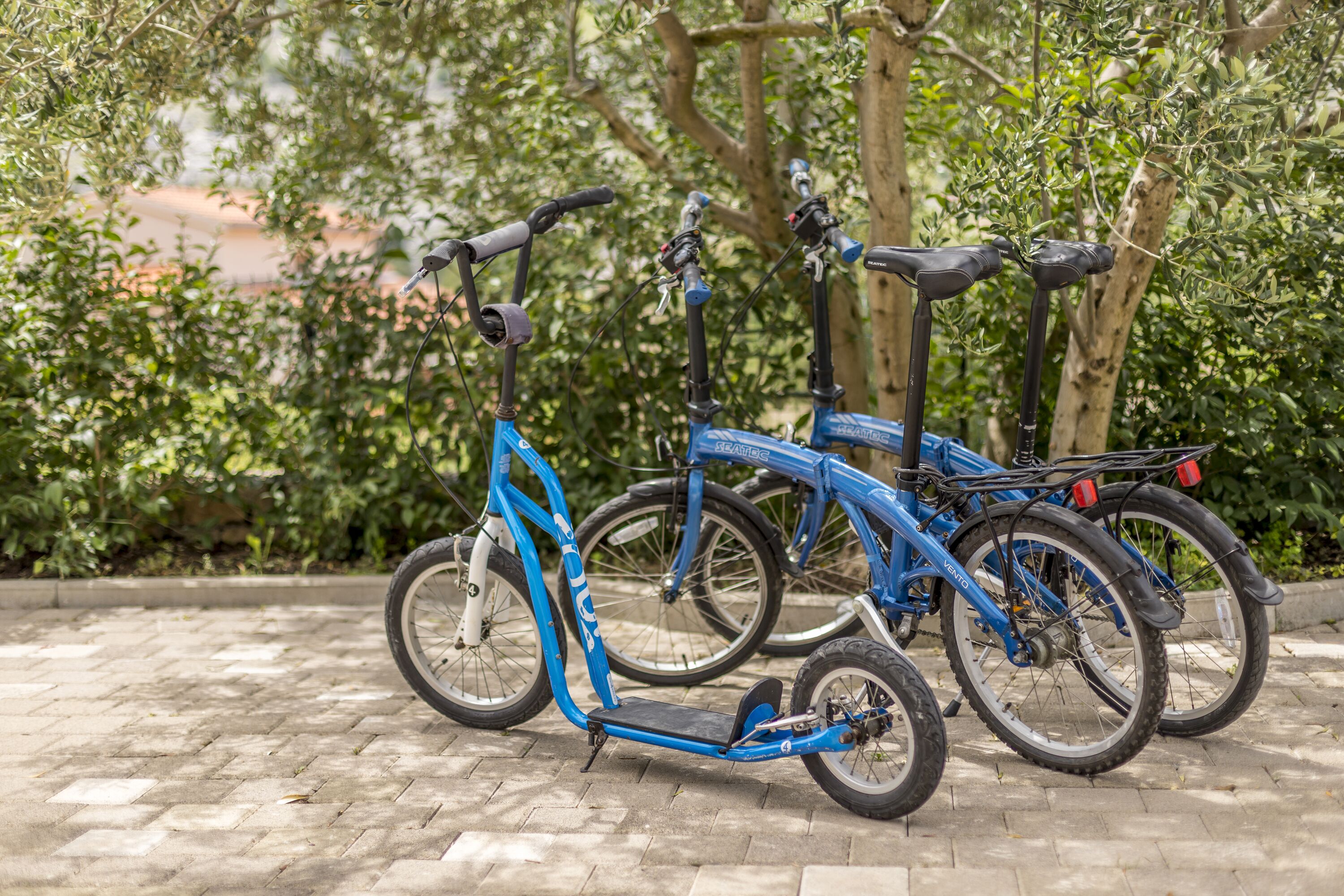 Una patineta eléctrica azul y una bicicleta estacionadas sobre una superficie pavimentada con follaje al fondo.
