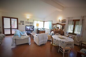 TV, caminetto