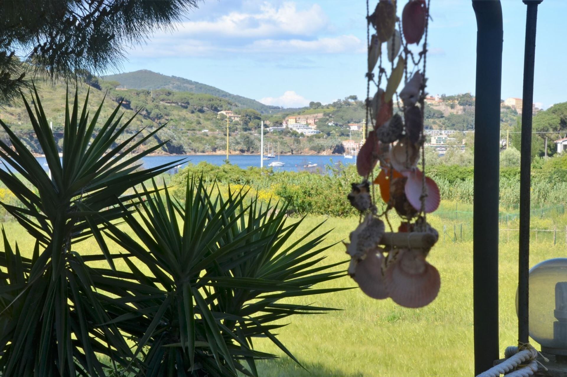 Vista de un paisaje costero con cielo despejado, una palmera grande y un adorno colgante decorativo.