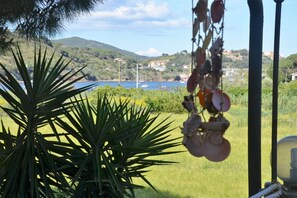 Une vue d’un paysage côtier, avec un ciel dégagé, un grand palmier et un ornement décoratif suspendu.
