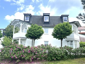 Esterni