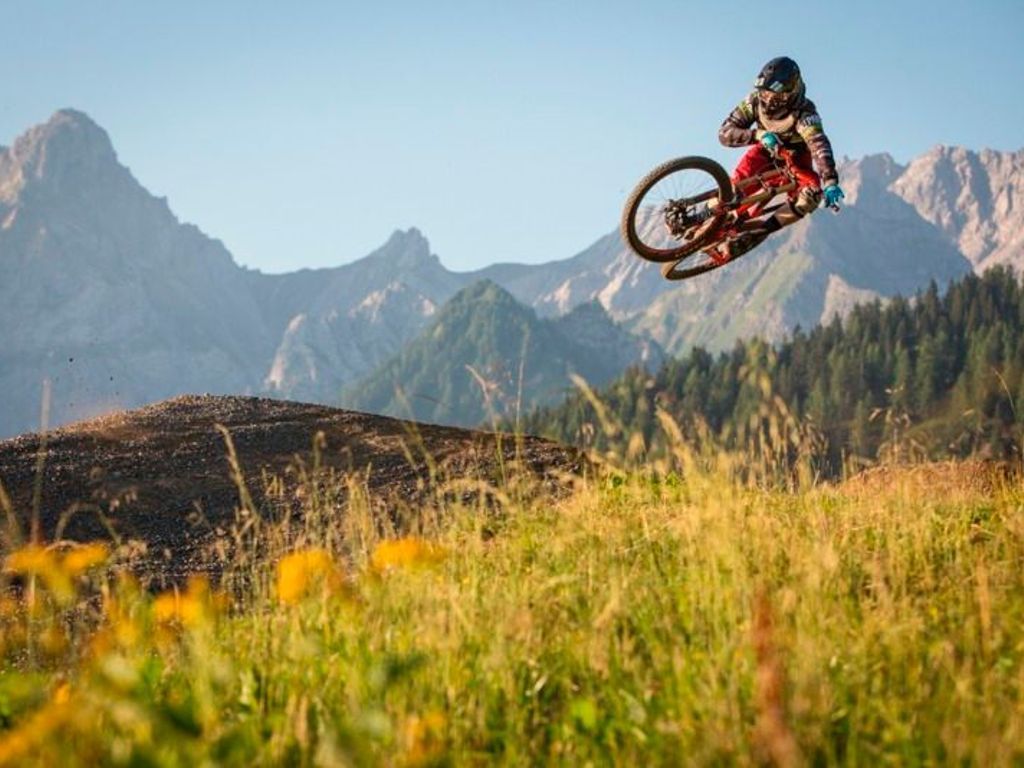 A mountain biker in mid-air over a grassy field with mountains in the background.