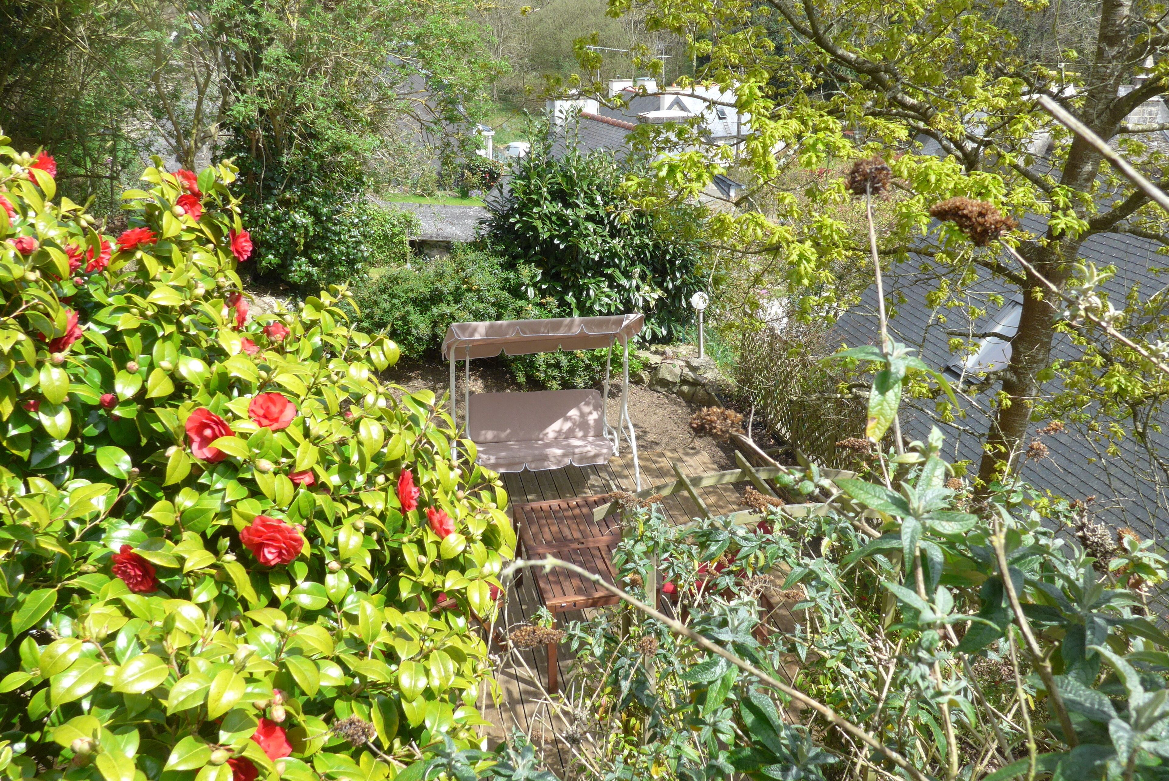 A garden with a wooden bench, lush green foliage, and red flowers.