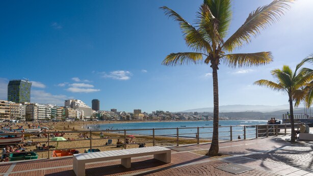 Eine Uferpromenade mit einer Bank, Palmen und Blick auf Strand und Stadtbild.