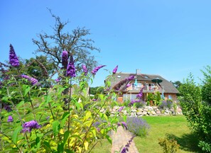 A house with a thatched roof, surrounded by a garden with purple flowers and a stone wall.