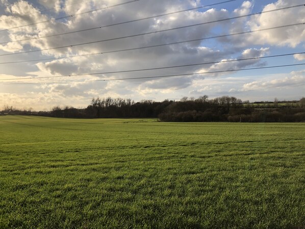 Un campo extenso y abierto con una hilera de árboles al fondo y líneas eléctricas en lo alto.