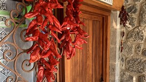 A wooden door with a stone wall and a hanging red chili pepper decoration. - Txoritoki Apartment, Urresti (Gautegiz Arteaga)