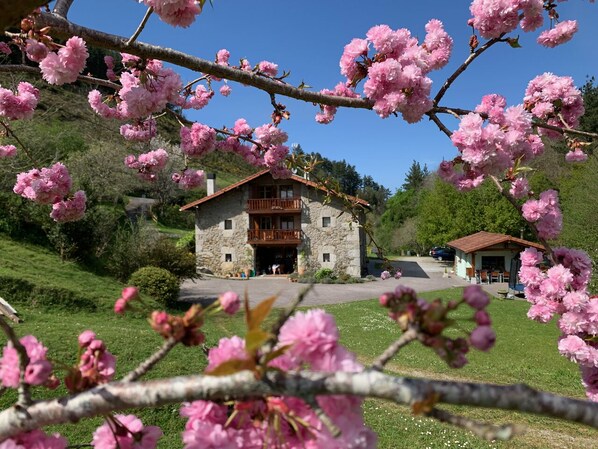 A stone building with a balcony, surrounded by lush greenery and blooming pink flowers. - Txoritoki Apartment, Urresti (Gautegiz Arteaga)