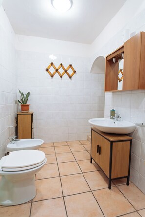 Shower, hair dryer, towels, toilet paper