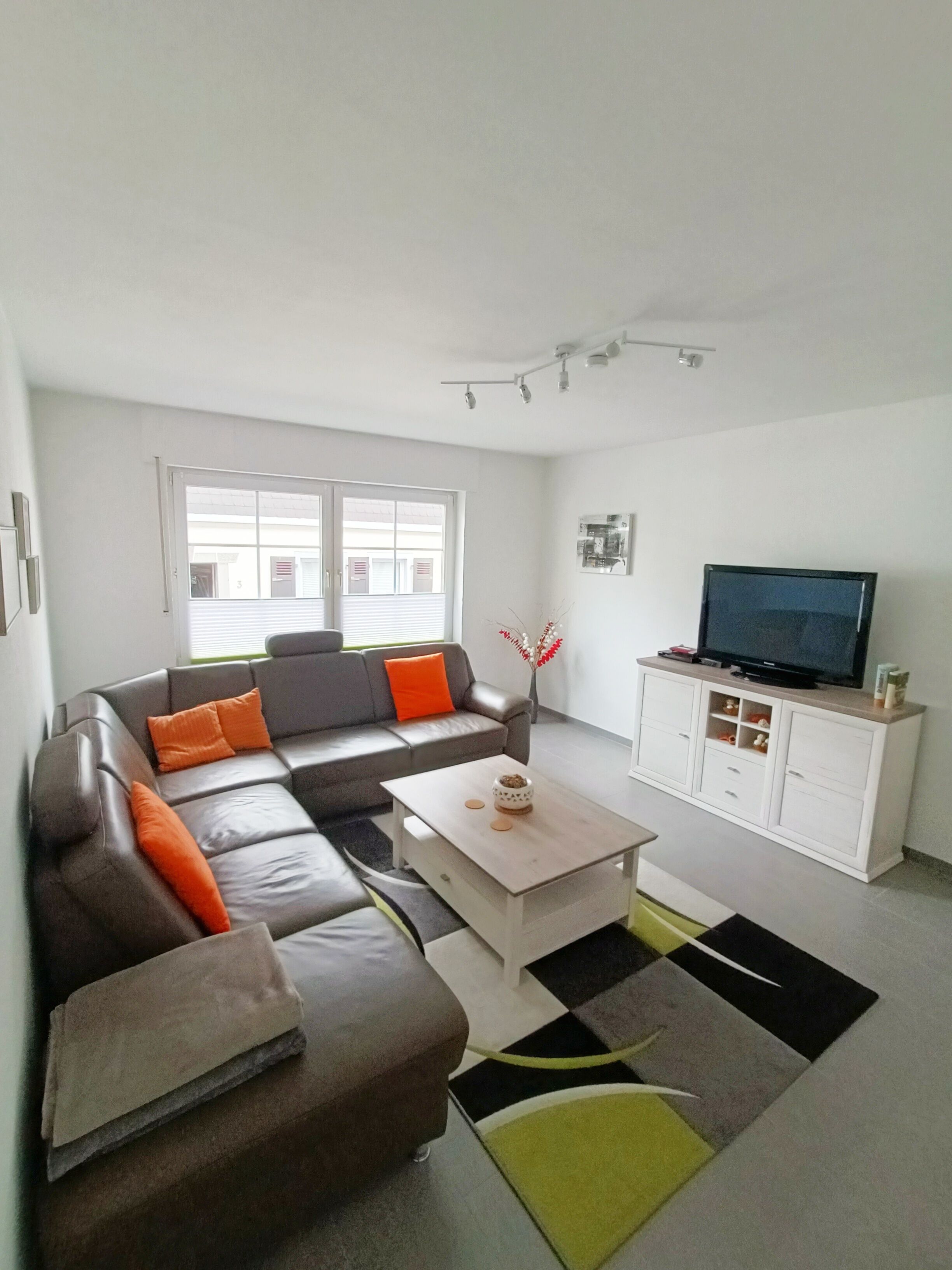 Fernseher, DVD-Player, Bücher, Videothek