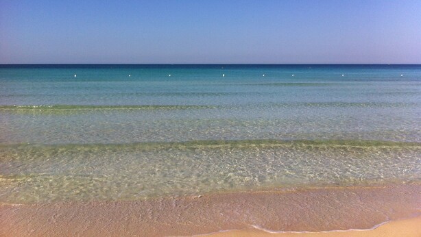 A beach with clear shallow waters and a sandy shore. - Salento Villa Emma - Green Apartment with Garden (Porto Cesareo)
