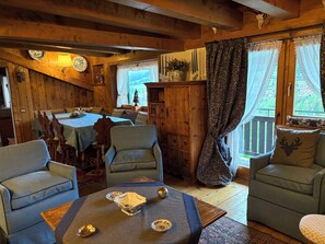 TV, fireplace, books