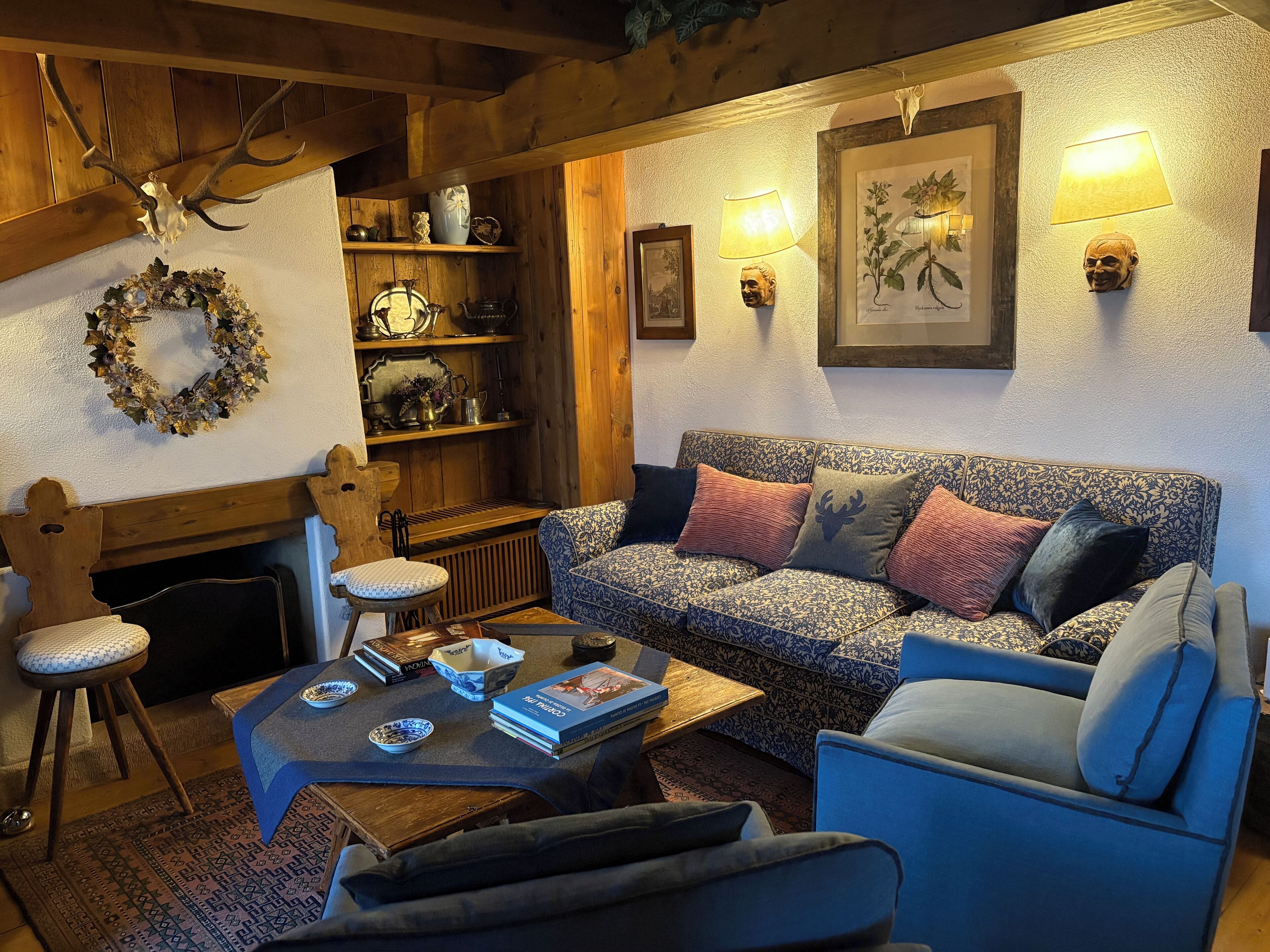 TV, fireplace, books