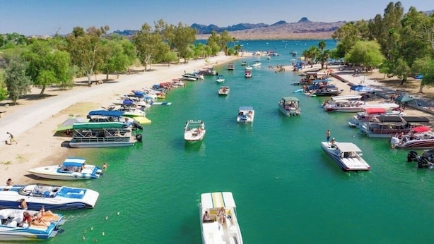 A marina with numerous boats docked along the shore, surrounded by trees and a clear view of the water.